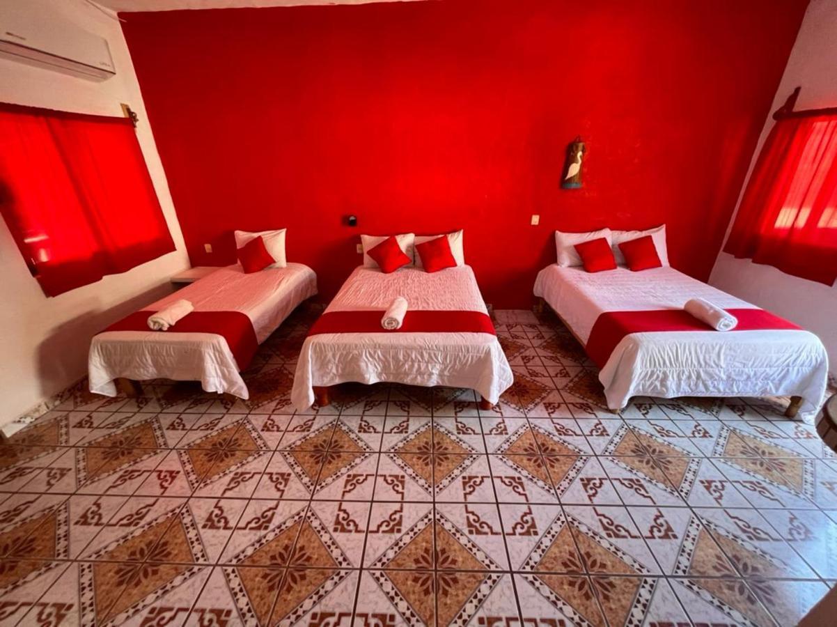 Hotel Y Bungalows Bugambilias 산 파트리시오 멜라케 외부 사진